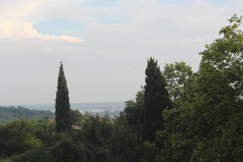 Lady Frantoio Toscano Corsanico-Bargecchia Esterno foto